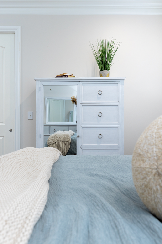 Point Breeze Mirrored Door Chest