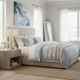 Sand Dollar Table Lamp (Set of 2)